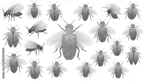 Array of Intricately Rendered Insect Silhouettes, Showcasing Biological Diversity and Detailed Entomological Artistry