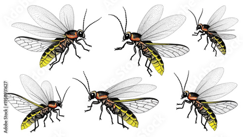 A detailed group of flying winged creatures, capturing the essence of an insect swarm illustration