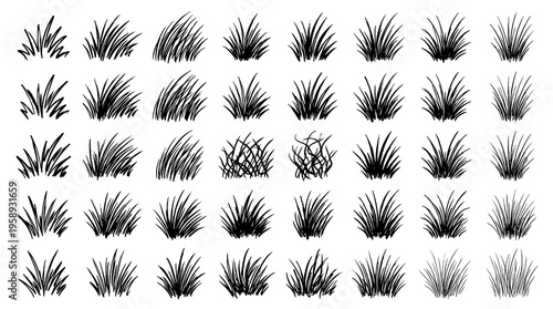 Collection of Diverse Handwritten Signatures