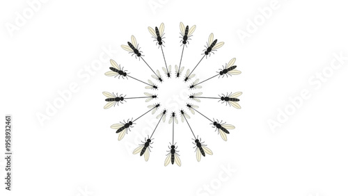 Dynamic Circular Swarm of Winged Insects Arranged in a Visually Captivating Radial Design