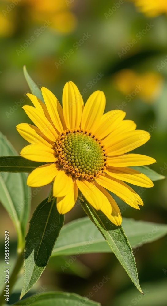 Fototapeta premium Radiant Yellow Sunflower in Full Bloom on a Sunny Day.