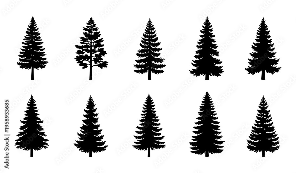 Fototapeta premium Evergreen Coniferous Forest Vintage Tree Silhouette Collection Vector Illustration