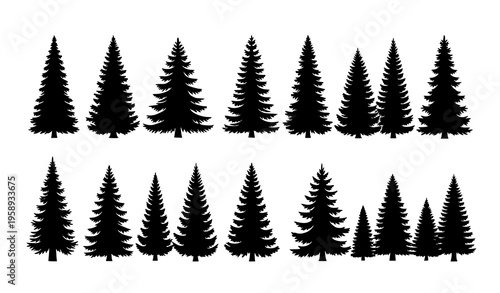 Vintage Forest Trees Silhouette Vector Set with Evergreen Coniferous Nature Collection