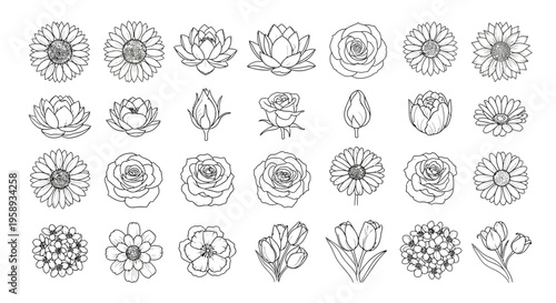 Collection of elegant black and white hand drawn flower outlines and botanical illustrations for various design projects