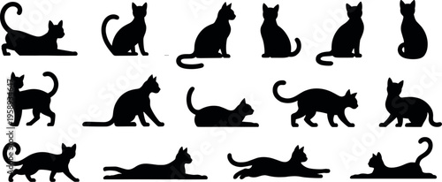Collection of cat silhouettes in various sitting, walking and stretching poses, playful domestic pet animal set isolated on light background, feline behavior illustration design