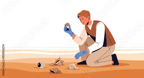 Discovering Shell Treasures On A Sandy Shore