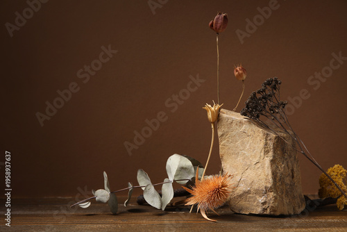 Stone and beautiful dried f...