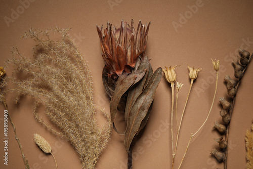 Composition with beautiful ...
