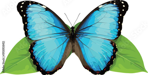 Blue butterfly illustration with detailed wings spread on green leaves featuring tropical insect beauty isolated colorful vector design for nature and wildlife themes