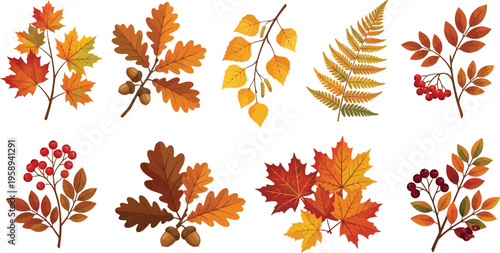 Autumn leaves vector collection, set of 9 fall foliage branches with maple and oak leaves, seasonal botanical elements for thanksgiving design