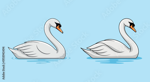 Two white swans floating on water.