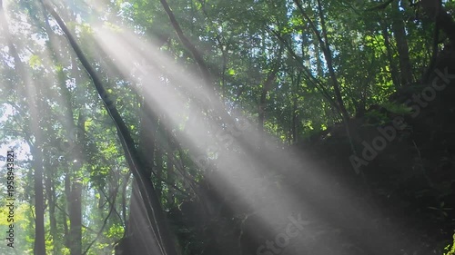 夏でも涼しい菊池渓谷