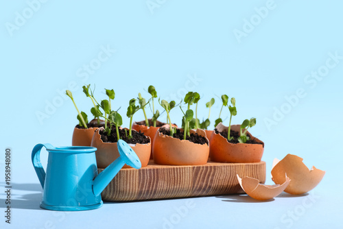 Wooden holder with egg shel...