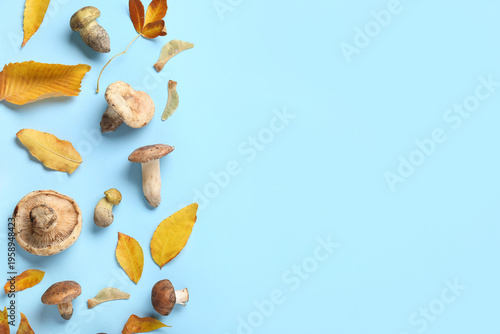 Composition with mushrooms ...