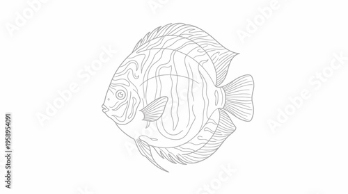 Detailed line art drawing of a discus fish with intricate patterns, suitable for coloring books or graphic design.
