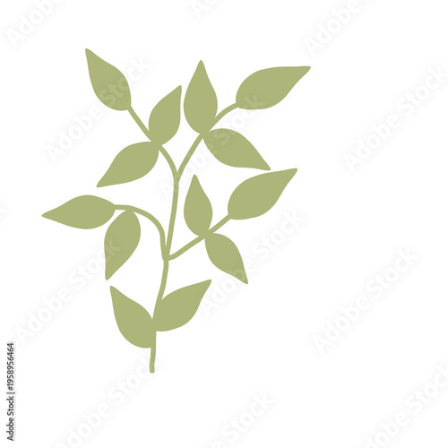 Minimalist plant with pale green leaves art