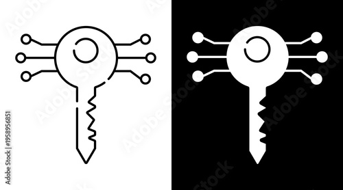 Digital Key Icon. Two-Tone Version On Black And White Background