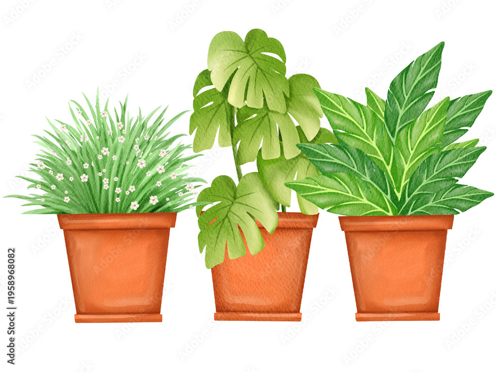 Fototapeta premium Three Potted Houseplants Illustration 