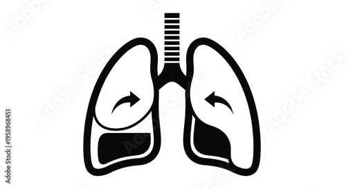 Human lungs vector graphic illustration showcasing the vital process of respiration with clear airflow arrows, an essential medical design element.