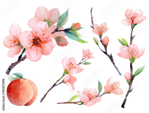 Delicate Watercolor Peach Blossoms and Branches with Foliage in Soft Pastel Hues