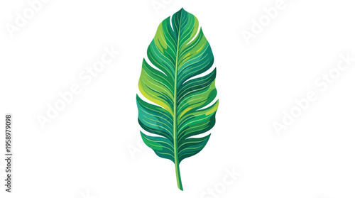 Vibrant Green Banana Leaf with Yellow Accents.