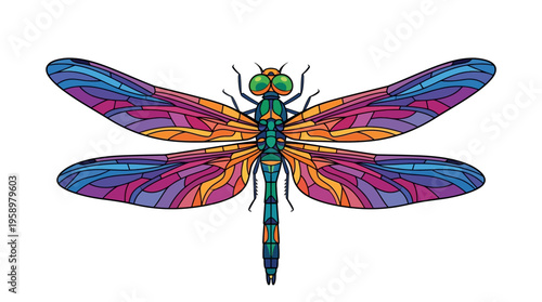 Vibrant Dragonfly Insect with Intricate Wing Patterns.