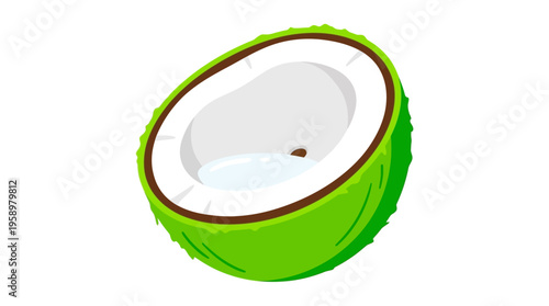 Vibrant Green Coconut Halved Showing White Flesh.