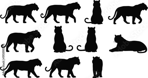 Large Group of Diverse Family Members and Children Silhouettes Holding Hands and Walking Together for Community Unity Support and Multi Generational Love Concept