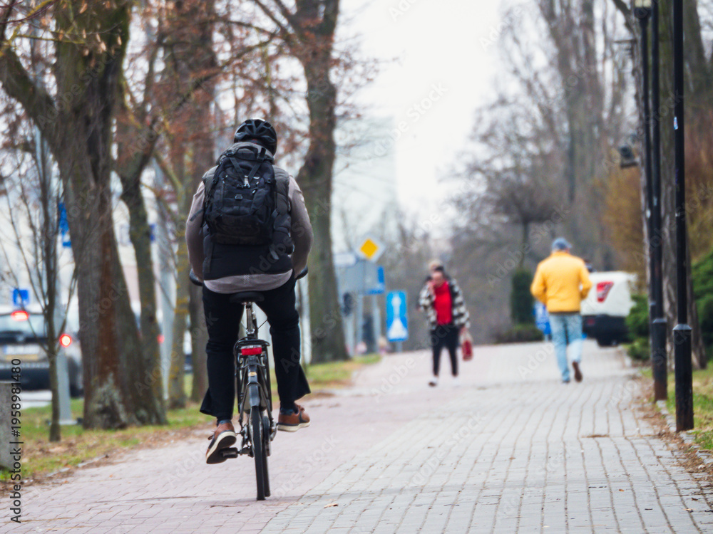 Obraz premium Cyclist rides down a paved path lined with trees