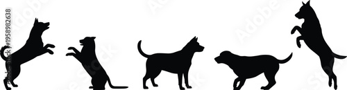 Dog, silhouettes, jumping, standing, walking, poses, vector, set, black, isolated, canine, pets, animals, illustration, clipart, design, collection, bundle, graphic,  silhouettes, jumping, standing, 