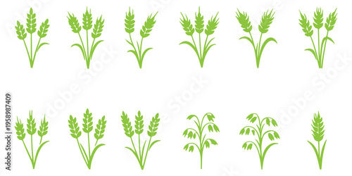 Various black wheat and grain silhouette illustrations on white editable vector file