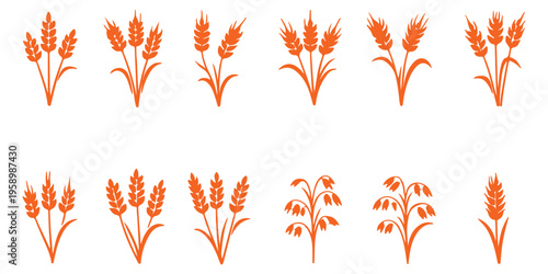 Various black wheat and grain silhouette illustrations on white editable vector file