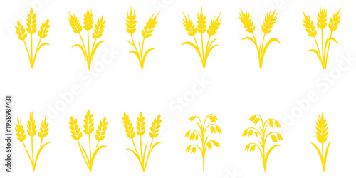 Various black wheat and grain silhouette illustrations on white editable vector file
