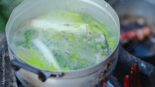 Fresh Vegetables and Herbs Boiling in a Stainless Steel Pot Over a Campfire Surrounded by Nature with Steam Rising in the Air