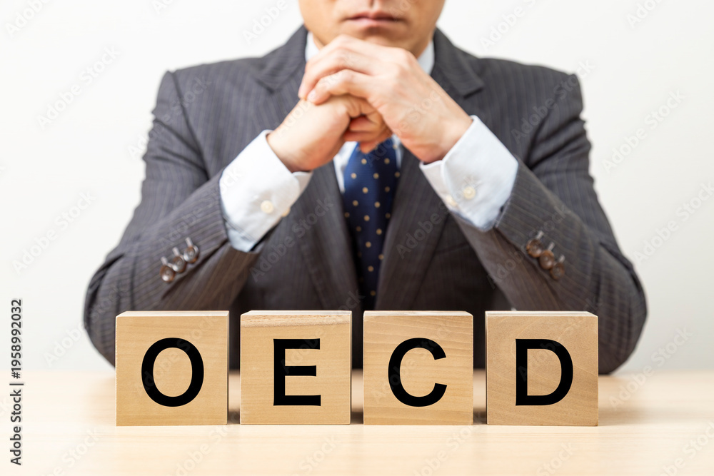 Obraz premium 「OECD」と書かれたブロックとビジネスマン