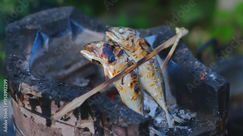 Grilling Fresh Fish on Charcoal Fire with Hand Holding Skewers in Outdoor Setting Surrounded by Natural Elements in a Rustic Environment