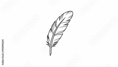 Hand-drawn feather sketch, delicate quill pen, elegant writing instrument, isolated on white background