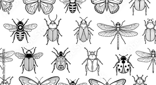 A black and white vector illustration of various insects in a flat design style