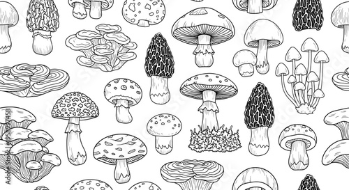 A black and white vector illustration of various mushroom species in a detailed and intricate design