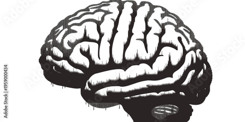 A black and white illustration of a human brain with detailed folds and crevices on a plain white background