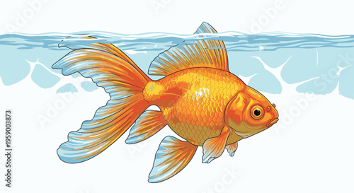 A vibrant orange goldfish with white fins against a clean white background.