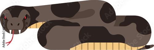 A large brown snake with black spots and red eyes is coiled and looking forward on white background with its tongue out.