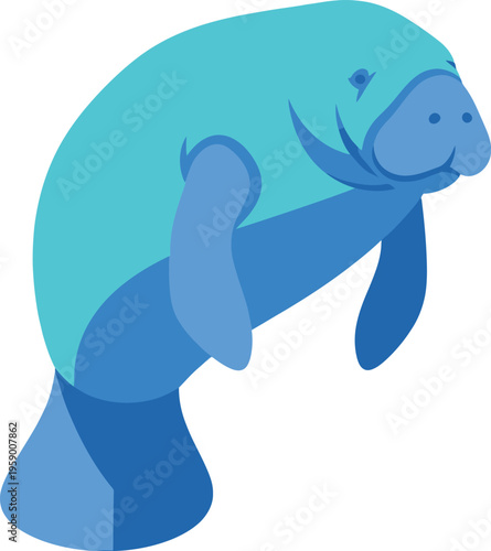 Manatee swims alone in calm ocean waters with flippers