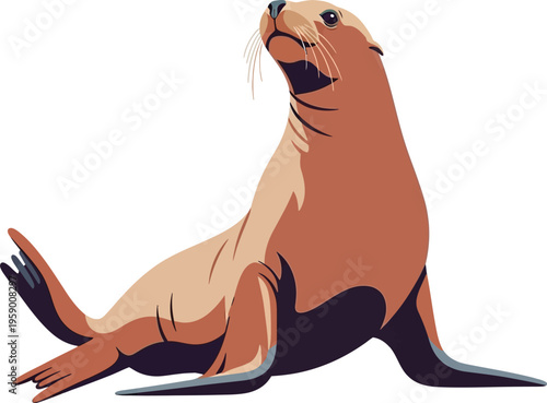 An illustration of a sea lion sitting on the beach looking upwards.