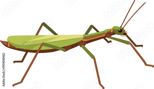An illustration of a green Praying Mantis insect standing alone outdoors in nature.