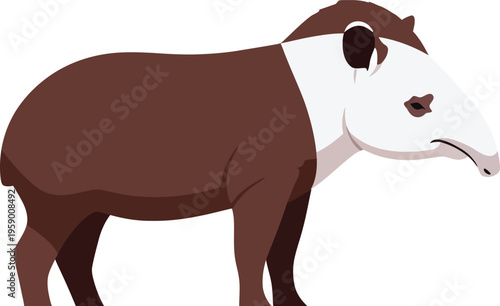 A large South American tapir stands alone in a grassy field illustration.