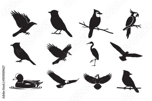Blue Jay Bird Silhouette Vector Illustration Black SVG Clipart