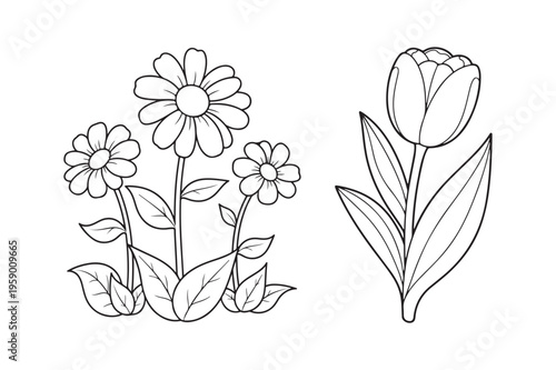 Flower Coloring Pages Vector Illustration for Kids and Adults