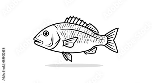 Black and White Illustration of a Fish, Simple Line Art for Design