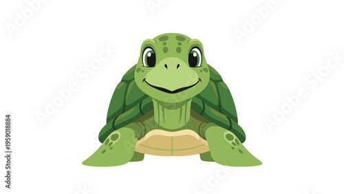 A vibrant orange goldfish with white fins against a clean white background.